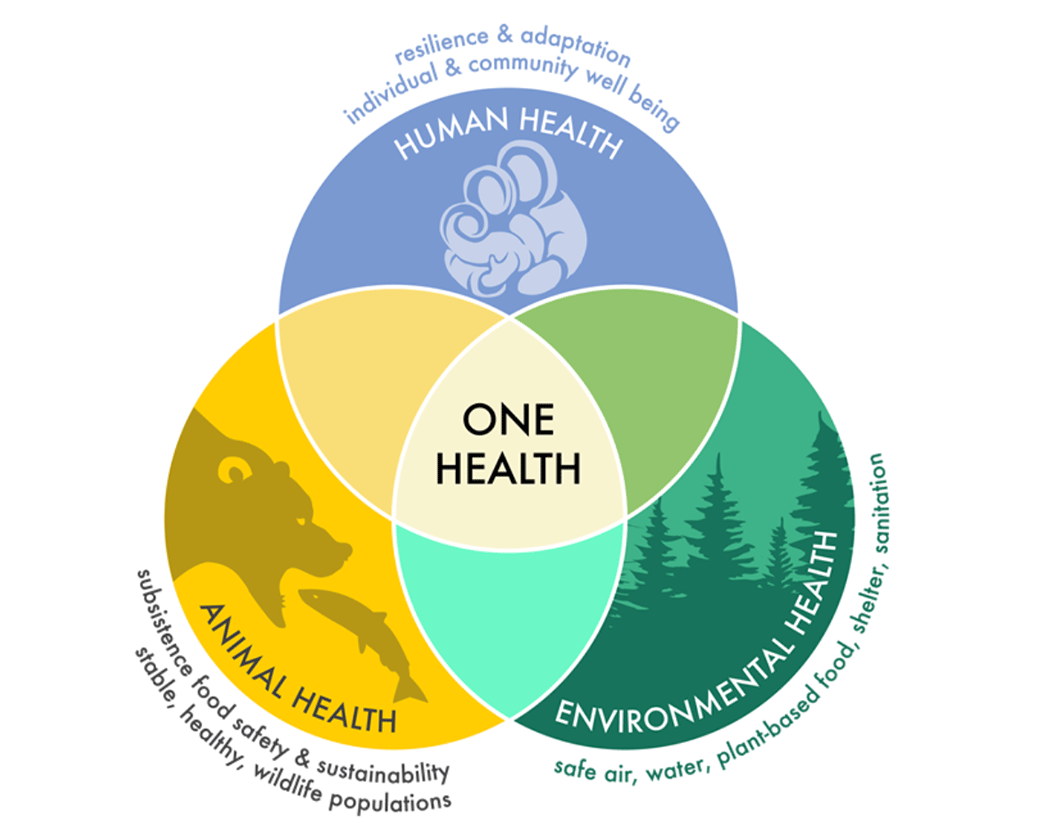 OneHealth Image